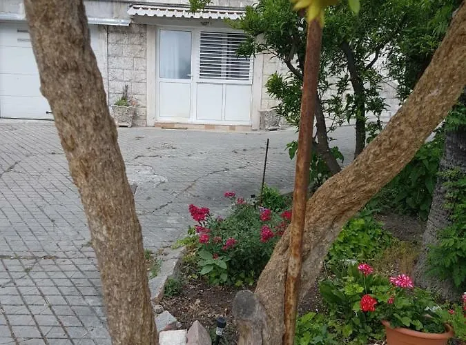 Apartman Lju On The *