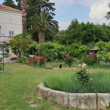 Διαμέρισμα Lju On The *